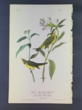 Audubon First Edition Octavo Plate No. 75 Wilson's Flycatching-Warbler