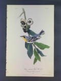 Audubon First Edition Octavo Plate No 79 Yellow-throated Wood-Warbler