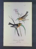 Audubon First Edition Octavo Plate No 87 Blackburnian Wood-Warbler
