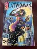 2 DC Comics Catwoman
