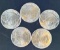 5 1 Oz Silver Buffalo Rounds