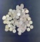 100 Silver Dimes