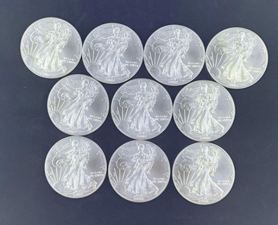 10 2002 Walking Liberty Silver Eagles
