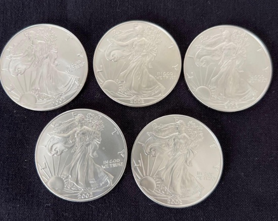 5 2002 Walking Liberty Silver Eagles