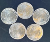 5 1 Oz Silver Buffalo Rounds