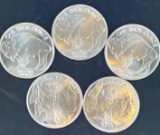 5 1 Oz Silver Buffalo Rounds