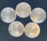 5 1 Oz Silver Buffalo Rounds