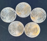 5 1 Oz Silver Buffalo Rounds