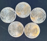 5 1 Oz Silver Buffalo Rounds