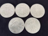 5 2002 Walking Liberty SIlver Eagles