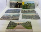 7 Vintage Postcards