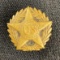 WWI Bronze Star Honorable Discharge Pin