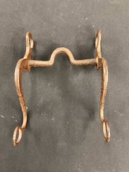 Horse Bridle Bit