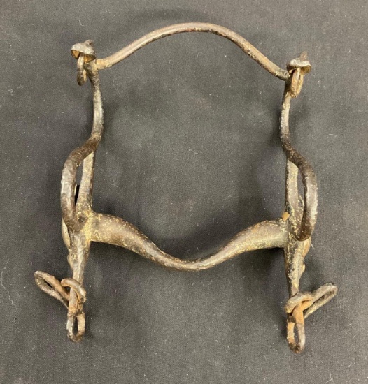 Horse Bridle Bit