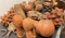 Clay Items
