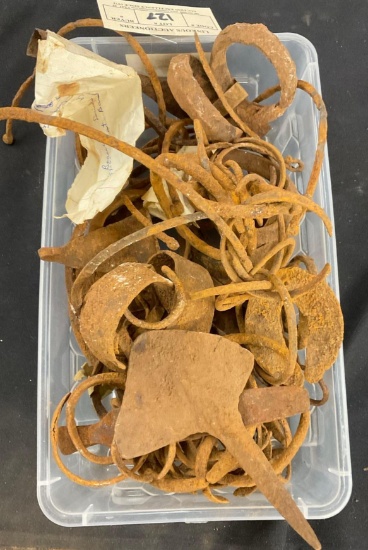 Contents of Gravesite
