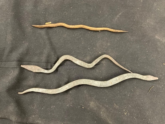 Snake Currency