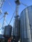 Schlagel 90 ft. grain leg