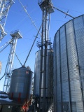 Schlagel 90 ft. grain leg