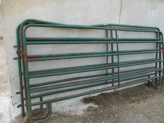 Three 12 ft. cattle panels, SELLS 3 X $