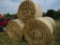 5 Round bales, first crop grass & hay, SELLS 5 X $