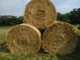 5 Round bales, first crop grass, hay mix, SELLS 5 X $