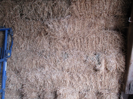 320 Small bales of 2020 grass hay, SELLS 20 X $