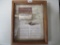 Arrowhead minnow display