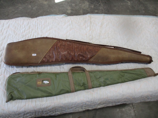 2 Gun cases