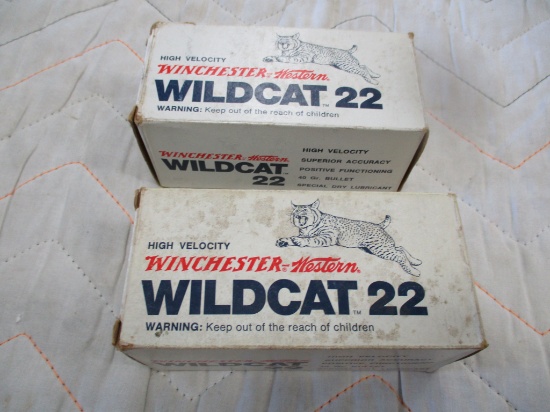 2 Full bricks of Winchester Western 22 Cal. ammo