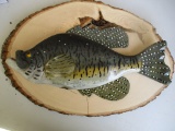 Wooden fish plague J. Eppel 2013