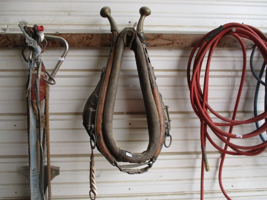Horse hamn