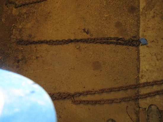10' Log chain