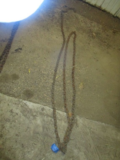 18' Log chain