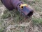 Auger