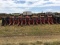 Allis Chalmers 324 24' Grain Header