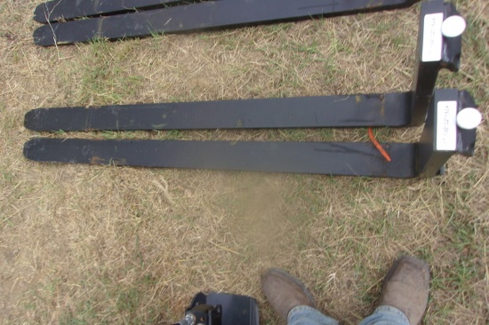 1T-100321524 Pallet Forks