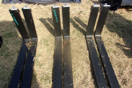 IT-10032125 Pallet Forks