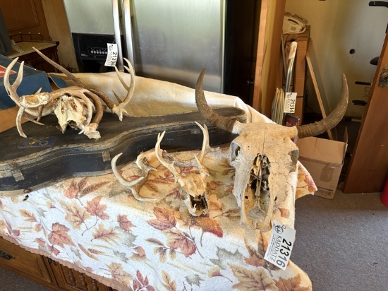 Antlers
