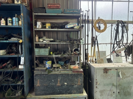 Shelf and Contents