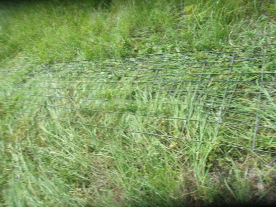 Wire Panels