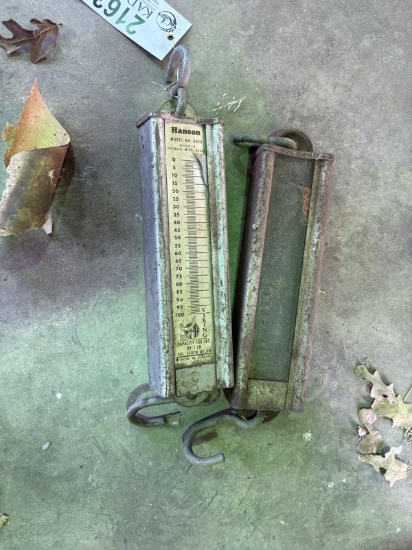 Hanging Scales
