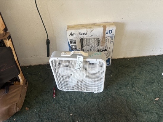 Fan