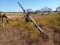 Grain Auger