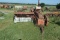 Ford Square Hay Baler