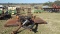 Bushhog 3408 Shredder