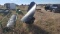Hooten Wmf Mineral Feeder
