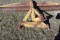 Big OX Blade
