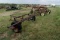 John Deere 670/ 671 Hay Rakes