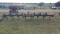 Graham Hoeme B-SM14 Chisel Plow